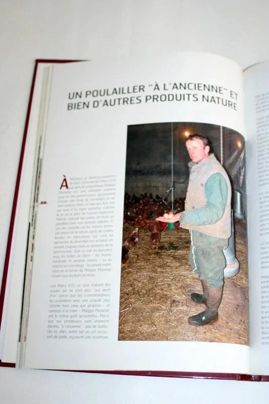 Livro de receitas "Maravilhas para a mesa de Côte-d'or" de J.Berton – photo 5